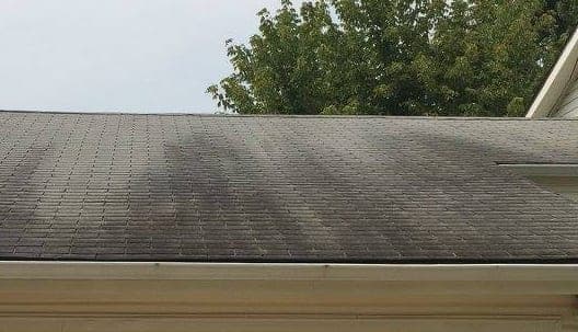 An asphalt shingle roof with dark streaking running down from the ridge, circled in red